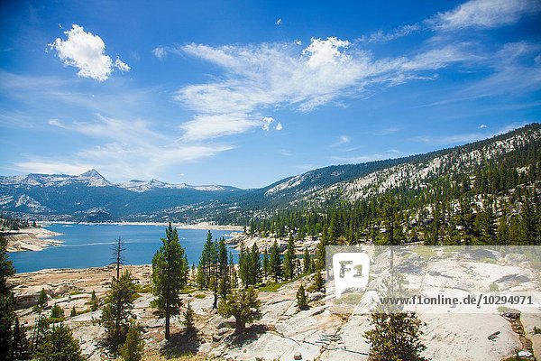 High angle view of trees and lake  High Sierra National Park  California  USA