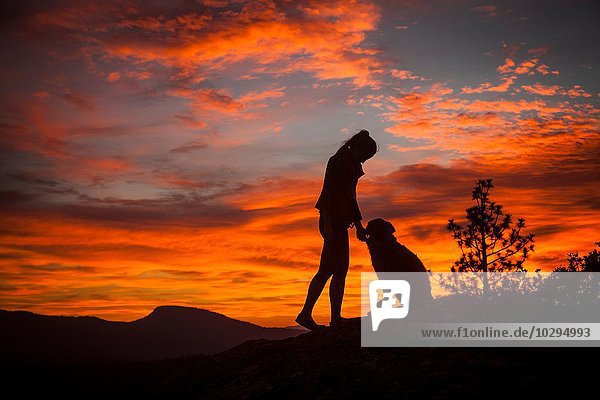 Silhouette einer jungen Frau und eines Hundes mit dramatischem orangem Himmel  High Sierra National Park  Kalifornien  USA