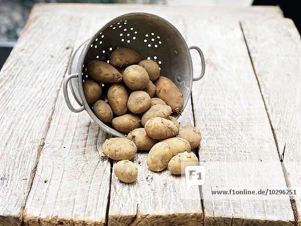 Stilleben von Jersey Royal Potatoes im Sieb auf Holztisch