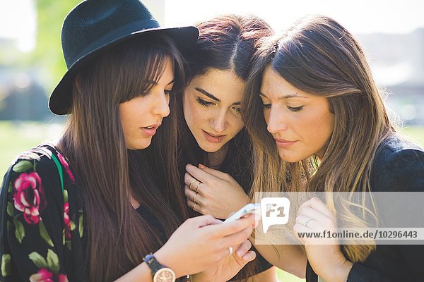 Drei junge Freundinnen  die sich zusammendrängen  um Smartphone-Textnachrichten auszutauschen