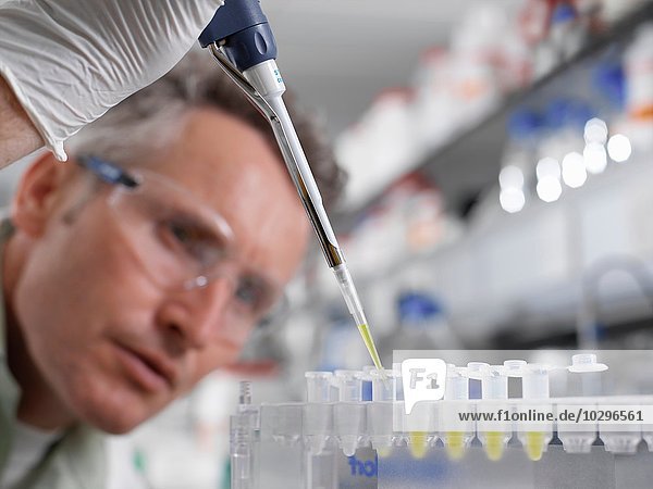 Wissenschaftler pipettieren Probe in eppendorf-Röhrchen im Labor