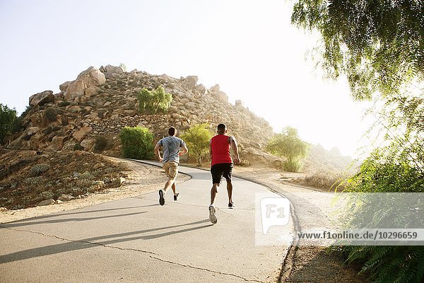 Two male friends running along mountain path rear view