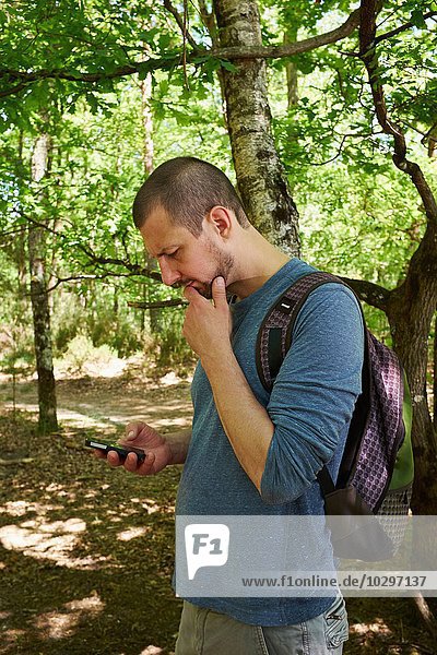 Male hiker looking down at smartphone in forest