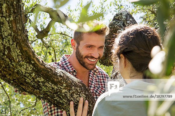Junges Paar im Baum von Angesicht zu Angesicht lächelnd