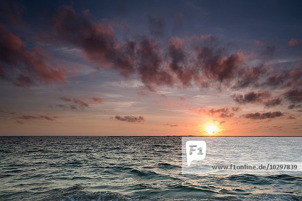 Sonnenaufgang über dem Meer  Calgardup Bay  Prevelly  Western Australia  Australien