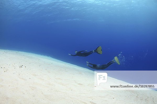 Apnoetaucher  auch Freitaucher  schwimmen über einen sandigen Meeresboden  Rotes Meer  Ägypten  Afrika