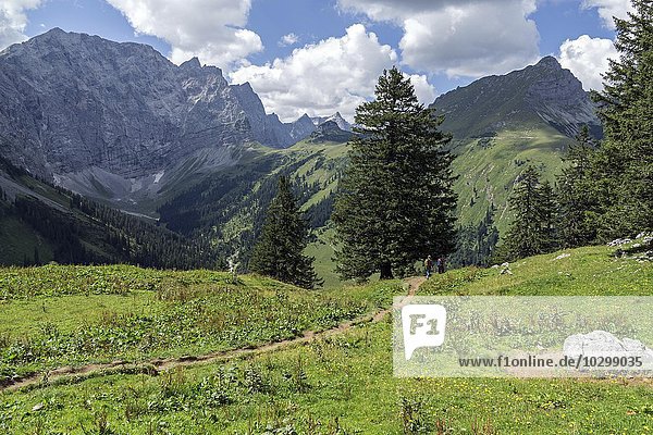 Ausblick zur Binsalm auf die Laliderer Wände  Karwendel  Tirol  Österreich  Europa