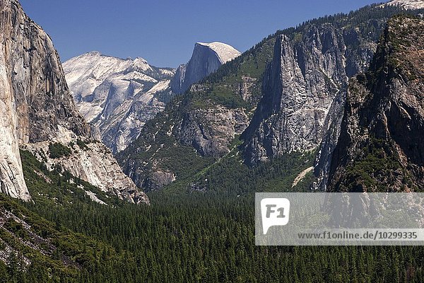Ausblick vom Tunnel View ins Yosemite Valley  hinten Half Dome  Yosemite Nationalpark  Kalifornien  USA  Nordamerika