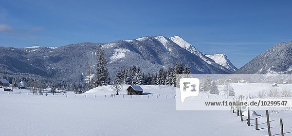 Verschneite Landschaft  Langlaufrunde Ödensee  Bad Mitterndorf  Steiermark  Österreich  Europa