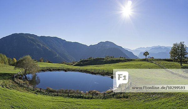 Teich bei der Zisloner Alm  Truden  Trodena  Trentino-Alto Adige  Südtirol  Italien  Europa