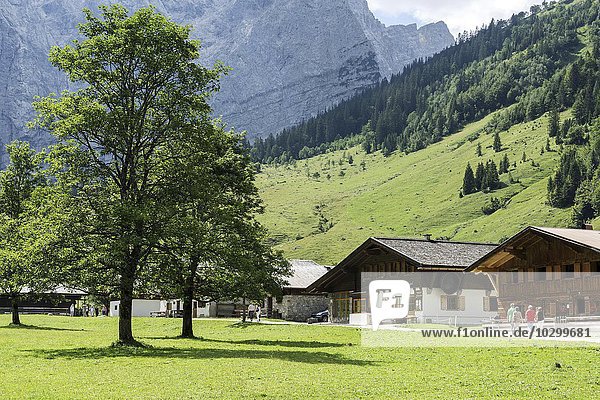 Bauernhäuser  Almhäuser  Almdorf Eng  Eng-Alm  hinten die Laliderer-Wände  Karwendel  Tirol  Österreich  Europa
