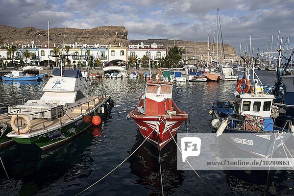 Fischerboote im Hafen  Puerto de Mogan  Gran Canaria  Kanarische Inseln  Spanien  Europa