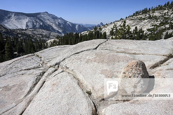 Steinplateau am Olmsted Point  Yosemite National Park  Kalifornien  USA  Nordamerika