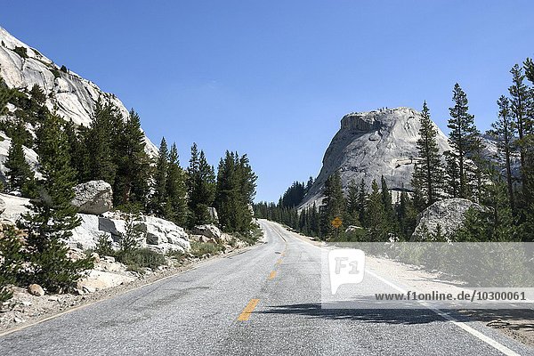 Rioga Road  hinten rechts Pywiack Dome  Yosemite Nationalpark  Kalifornien  USA  Nordamerika