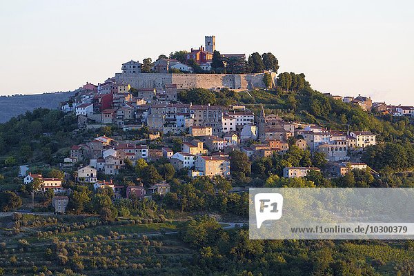 Idyllisches Dorf auf Hügel mit venezianischer Festung im Morgenlicht  Motovun  Istrien  Kroatien  Europa