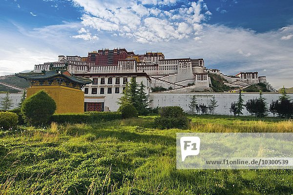 Potala Palace  Dalai Llama's winter palace  Lhasa  Tibet