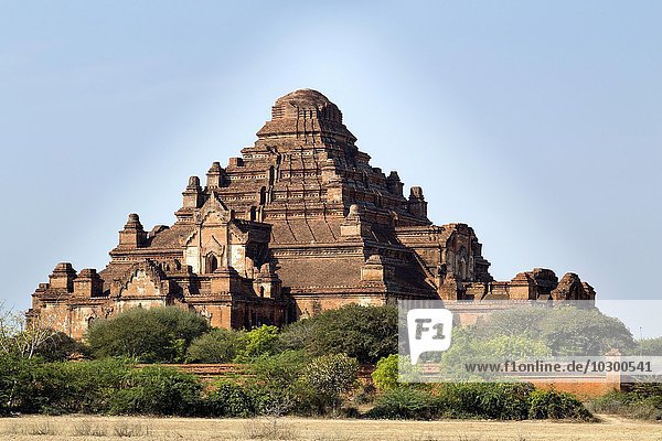 Pahto Dhammayangyi,  Dhammayangyi-Tempel,  einer der 4000 Bagan-Tempel,  Bagan,  Myanmar,  Asien