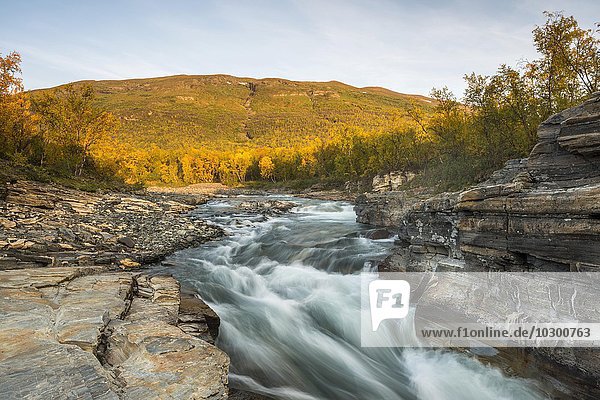 Herbstlicher Abisko Canyon  Fluss Abiskojåkka  Abiskojakka  Abisko Nationalpark  Norrbotten  Lappland  Schweden  Europa