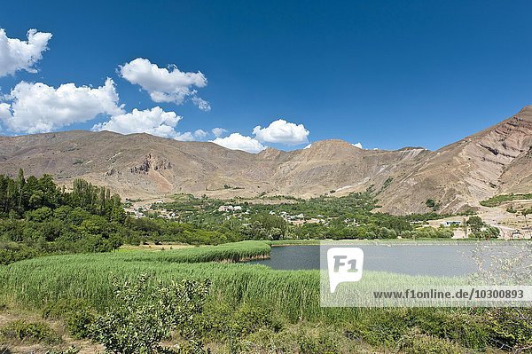 Bergsee mit Schilfgürtel am Ufer  Evan See  Moallem Kalayeh  Alamut Region  Provinz Qazvin  Elburs-Gebirge  Iran