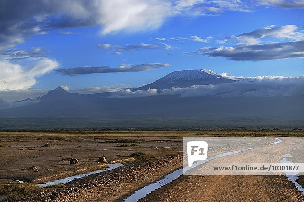 Weite Landschaft mit Straße  hinten Kilimandscharo im Morgenlicht  Amboseli  Kenia  Afrika