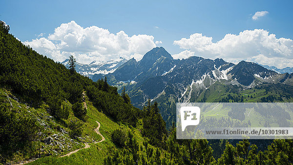 Panorama vom Gleitweg übers Oytal zur Höfats  Allgäuer Alpen  Allgäu  Bayern  Deutschland  Europa