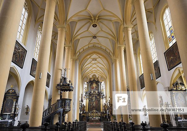 Pfarrkirche St. Veit  Iphofen  Mainfranken  Unterfranken  Franken  Bayern  Deutschland  Europa
