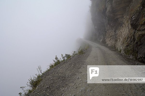 Death Road in fog  Camino de la Muerte  Yungas North Road between La Paz and Coroico  Bolivia  South America