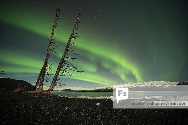 Aurora borealis über dem Prinz-William-Sund  Prince William Sound  Alaska  USA  Nordamerika
