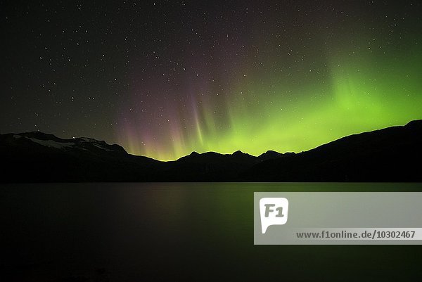 Aurora borealis über dem Prinz-William-Sund  Alaska  USA  Nordamerika