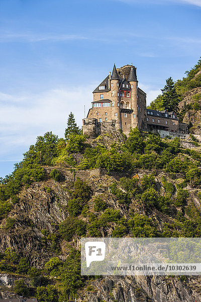 Burg Gutenfels oberhalb von Kaub  Mittelrhein  Deutschland  Europa