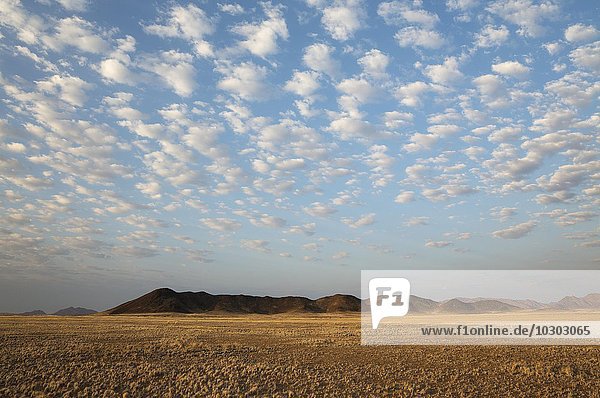 Trockenebene  isoliert Bergrücken  Schäfchenwolken  am Rand der Namib-Wüste  Abendlicht  Kulala Wilderness Reserve  Namibia  Afrika