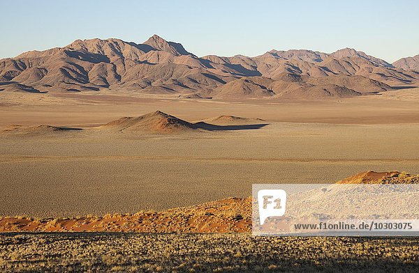 Mit Buschmanngras (Stipagrostis sp.) bewachsene Sanddünen  trockene Wüsteneben und isolierte Bergrücken am Rande der Namib-Wüste bei den exklusiven Wolwedans Safari-Camps  NamibRand-Naturreservat  Namibia  Afrika