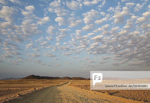 Schotterstraße auf Wüstenebene  isolierte Bergrücken  Schäfchenwolken  am Rande der Namib-Wüste  Abendlicht  Kulala Wilderness Reserve  Namibia  Afrika