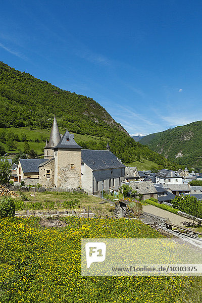 Ancizan  Hautes Pyrénées  Frankreich  Europa