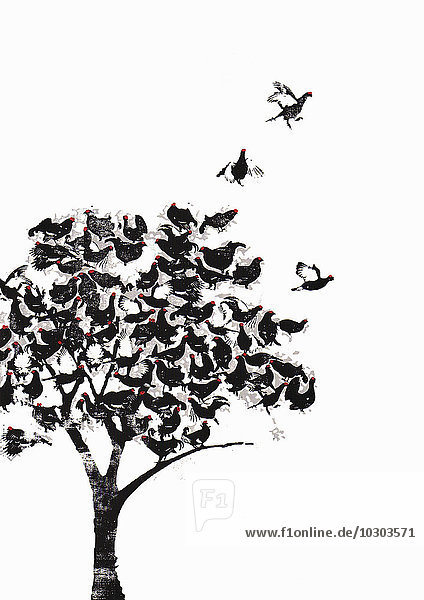 Vogelschwarm auf einem Baum