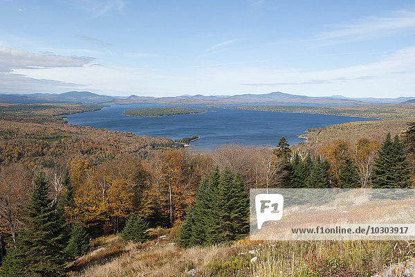 Ruhige Wald- und Seenlandschaft