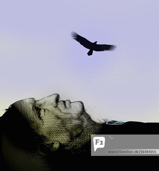 Vogel fliegt über der Silhouette eines liegenden Männergesichts