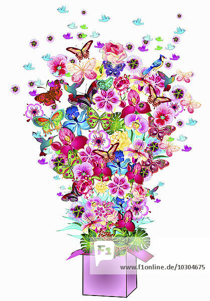 Fülle von leuchtenden Blumen,  Schmetterlingen und Vögeln bersten aus einer Geschenkverpackung