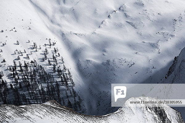 Österreich  Tirol  Ischgl  Bäume in der Winterlandschaft