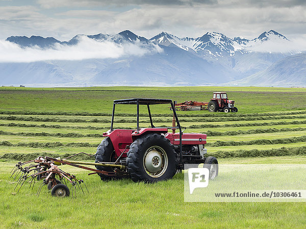 Zwei rote Traktoren auf einem Bauernhof  die auf einem Feld arbeiten und eine Grasernte schneiden.