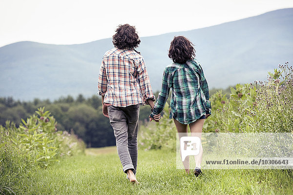 A couple  man and woman walking through a meadow hand in hand  rear view.