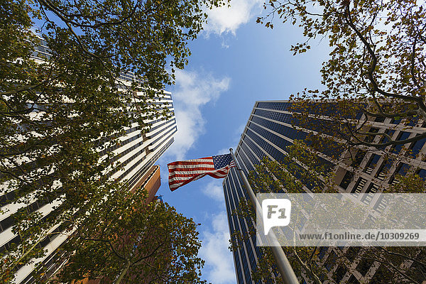 USA  New York City  Wolkenkratzer  Bäume und amerikanische Flagge in Downtown Manhattan