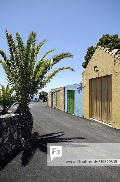 Spanien  Kanarische Inseln  La Palma  Palmen und bunte Garagentore