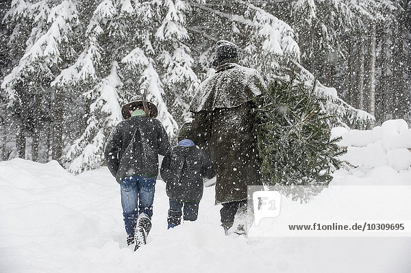 Austria  Altenmarkt-Zauchensee  father with two sons carrying Christmas tree in winter landscape