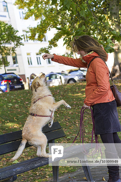 Frau spielt mit ihrem Hund