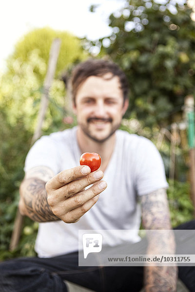 Man's hand holding tomato