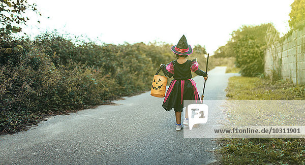 Rückansicht des kleinen Mädchens als Hexe mit Halloween Laterne und Besen