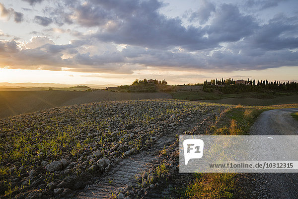 Italien  Toskana  Provinz Siena  Kreta Senesi  Landschaft bei Sonnenuntergang
