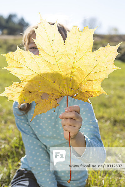 Mädchen versteckt sich hinter Herbstblatt