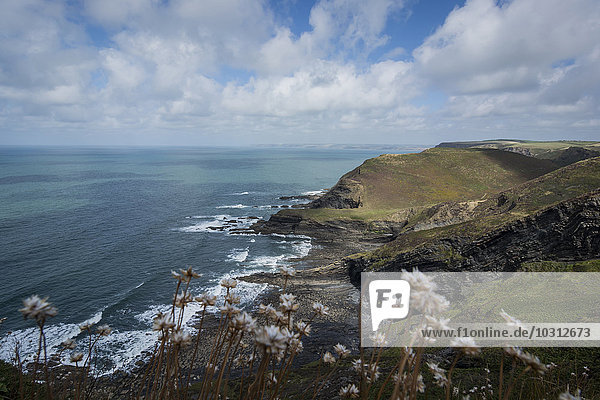 Großbritannien  England  Cornwall  Atlantikküste  High Cliff